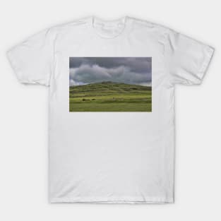 Cox Tor, Dartmoor, Devon, T-Shirt